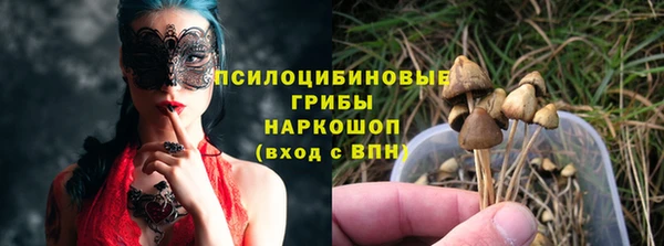 синтетический гашиш Алексин